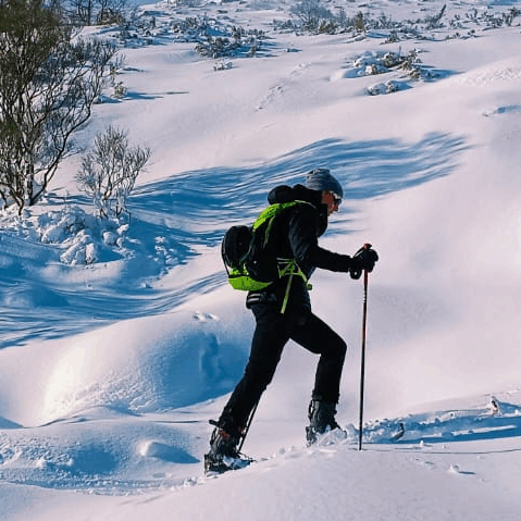 Página web de Rober